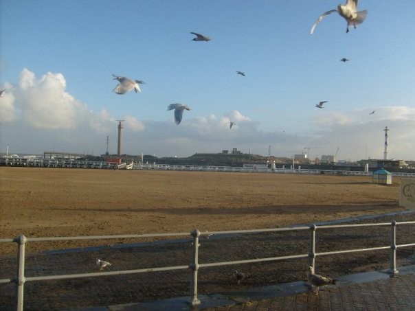 23 novembre 2008 à Ostende