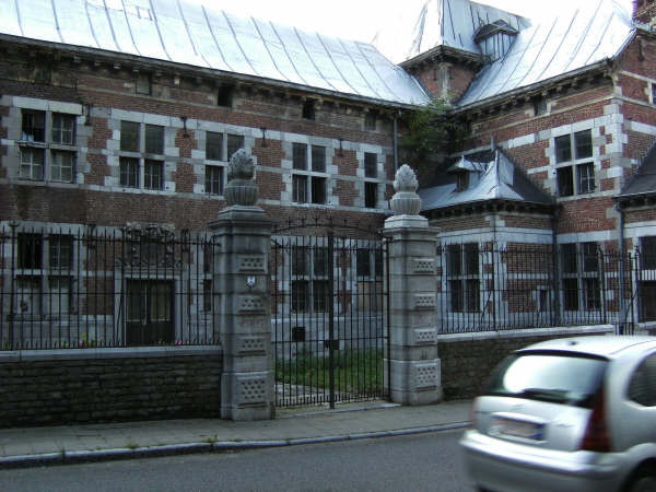 admirez le toit du Chateau Saroléa