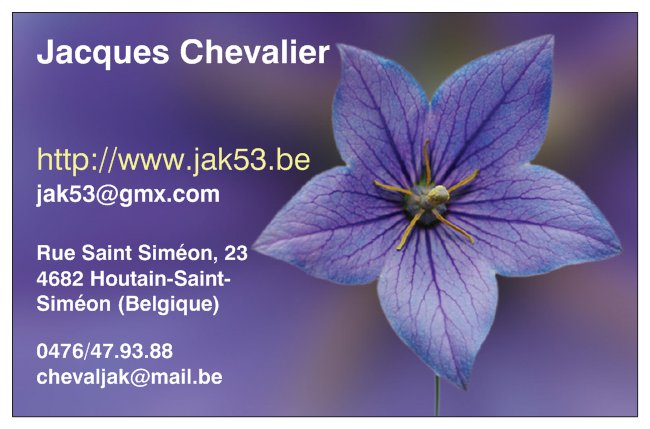 Ma carte de visite, les adresses changent, la fleur reste !