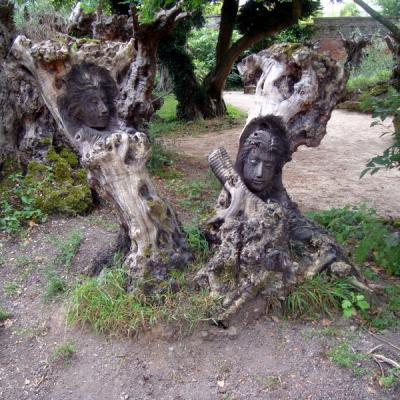 Des humains dans les racines - Pairi Daïza - 19 juin 2018