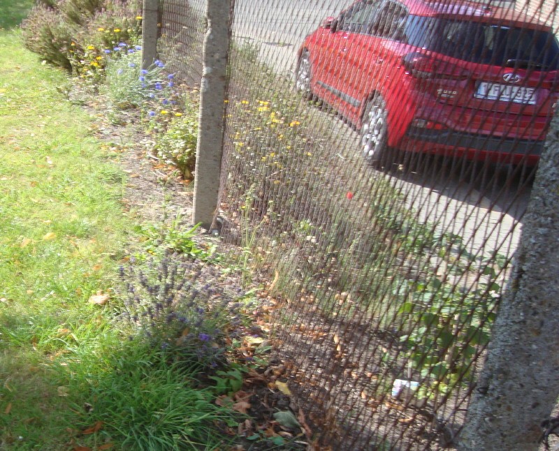 Voiture mal garée, pas pratique pour l'entretien du talus