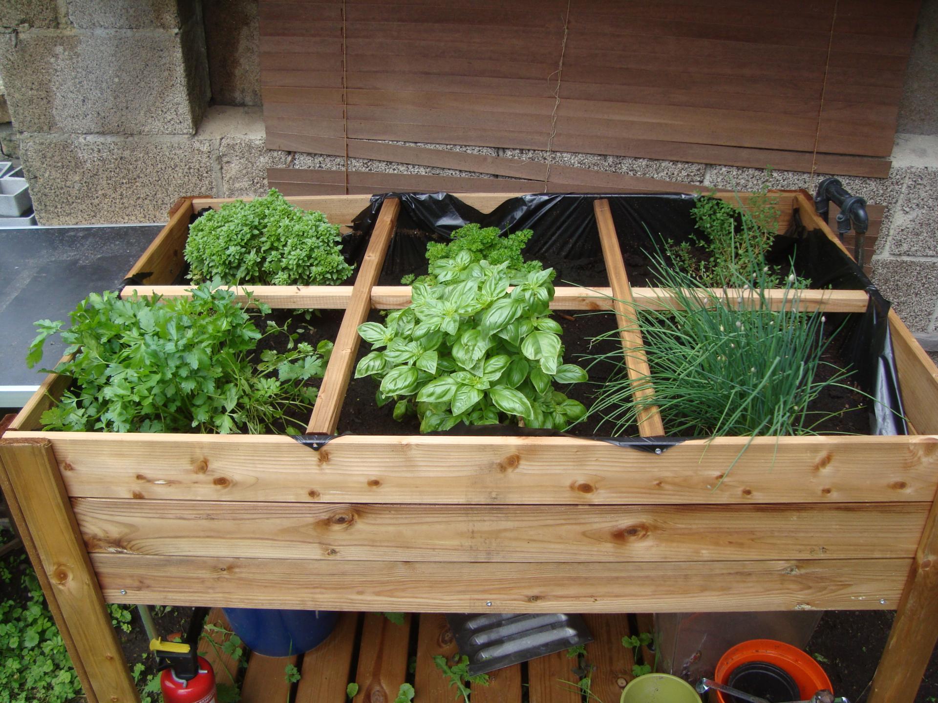 le potager d'Annick