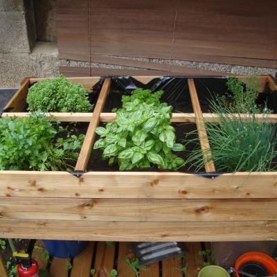 le potager d'Annick