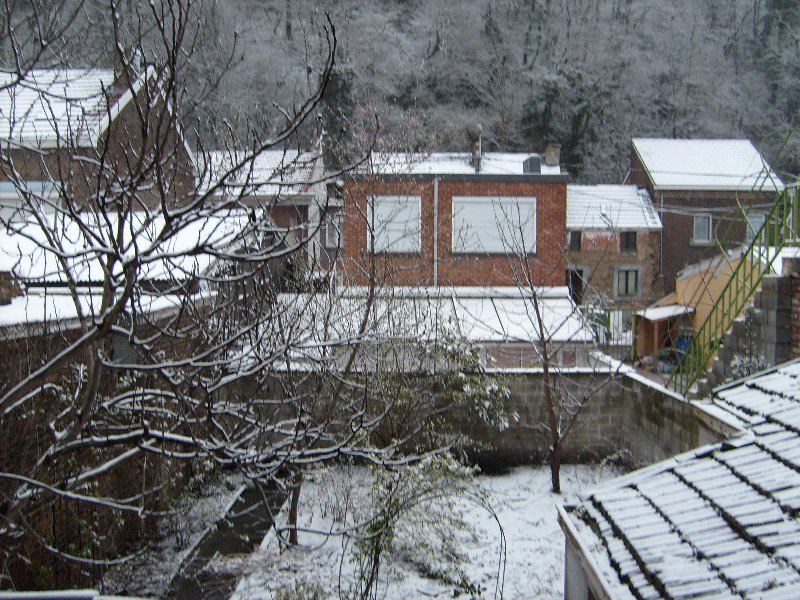 Mon jardin à Cheratte
