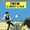 Tintin Islam