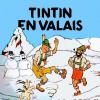 06906b1ec146bc618f4449fbd893e443 album tintin bd tintin