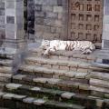 pairi daiza