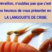 langouste