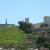 Corse10