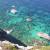 Corse5