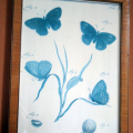 encres