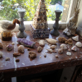 coquillages