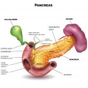 Pancreatic cancer istock 653533198