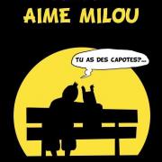 Tintin06